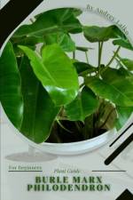 Burle Marx Philodendron af Andrey Lalko