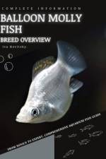 Balloon Molly Fish af Iva Novitsky