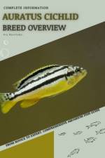 Auratus Cichlid af Iva Novitsky