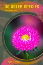 30 Aster species af Mixa Lungu