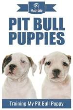 Pit Bull Puppies