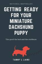 Getting ready for a miniature dachshund puppy af Tammy L Laird