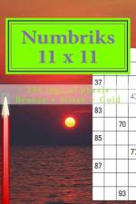 Numbriks 11 X 11 - 250 Logical Puzzle - Bronze + Silver + Gold af Andrii Pitenko