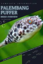 Palembang Puffer af Iva Novitsky