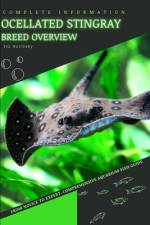 Ocellated Stingray af Iva Novitsky