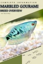 Marbled Gourami af Iva Novitsky