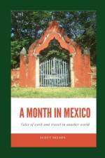 A Month In Mexico af Scott Nelson