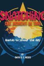 Snatching One Moment in Time af Gwyn R C Moses