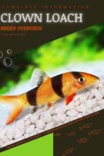 Clown Loach af Iva Novitsky