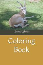 Coloring Book af Avadhesh Kumar