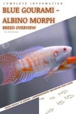 Blue Gourami - Albino Morph af Iva Novitsky