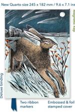 Angela Harding: Shooting Stars (Foiled Quarto Journal)