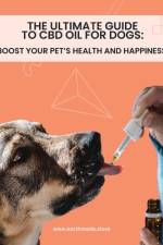 The Ultimate Guide to CBD Oil for Dogs af Aaron Henn