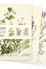 Royal Botanic Garden Edinburgh Set of 3 MIDI Notebooks