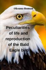 Peculiarities of life and reproduction of the Bald Eagle bird af Oksana Stepanova