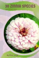 30 Zinnia species af Mixa Lungu