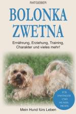 Bolonka Zwetna af Mein Hund fürs Leben Ratgeber