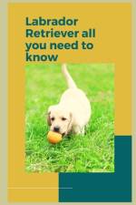 How to Train a Labrador Retriever af Paul Fink