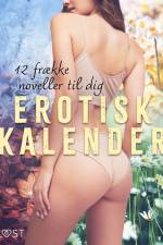 Erotisk kalender – 12 frække noveller til dig af August Moon