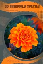 30 Marigold species af Mixa Lungu