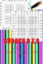 Sudoku 9 X 9 - 250 Puzzles 3 Numbers - Windowdoku. Vol. 132 af Andrii Pitenko
