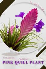 Pink Quill Plant af Andrey Lalko