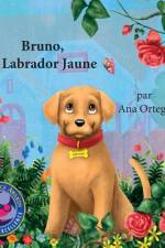 Bruno, le Labrador Jaune af Ana Ortega