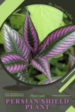 Persian Shield Plant af Andrey Lalko