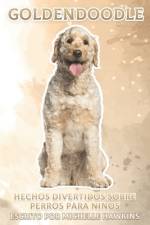 Goldendoodle af Michelle Hawkins