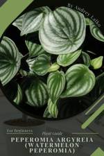 Peperomia argyreia (Watermelon peperomia) af Andrey Lalko