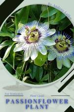Passionflower Plant af Andrey Lalko