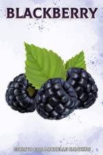 Blackberry af Michelle Hawkins