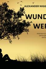 WunderWerte af Alexander Niggemann