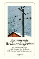 Spannende Weihnachtsferien af Shelagh Armit