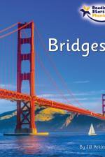 Bridges af Jill Atkins