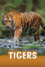 Tigers