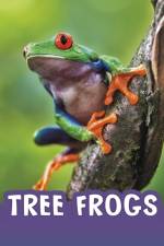 Tree Frogs