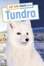 Day and Night on the Tundra