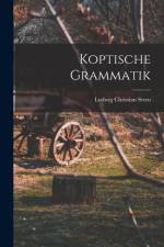 Koptische Grammatik af Ludwig Christian Stern