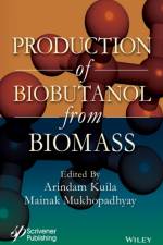 Production of Biobutanol from Biomass