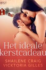 Het ideale kerstcadeau - erotisch kerstverhaal af Shailene Craig