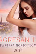 Tågresan 1-4 - en serie om erotiska tågresor