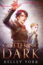 Into the Glittering Dark af Kelley York