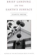 Brief Landing on the Earth's Surface: Volume 1996 af Juanita Brunk