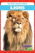 Lions