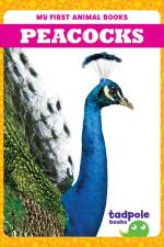 Peacocks