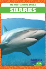Sharks