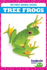 Tree Frogs