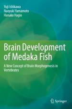 Brain Development of Medaka Fish af Yuji Ishikawa