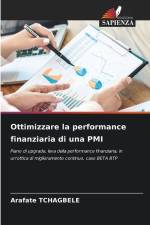 Ottimizzare la performance finanziaria di una PMI af Arafate Tchagbele